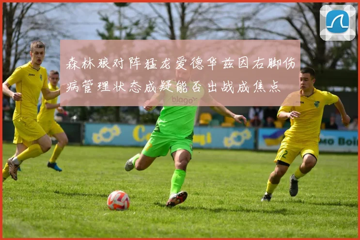 森林狼对阵猛龙爱德华兹因右脚伤病管理状态成疑能否出战成焦点